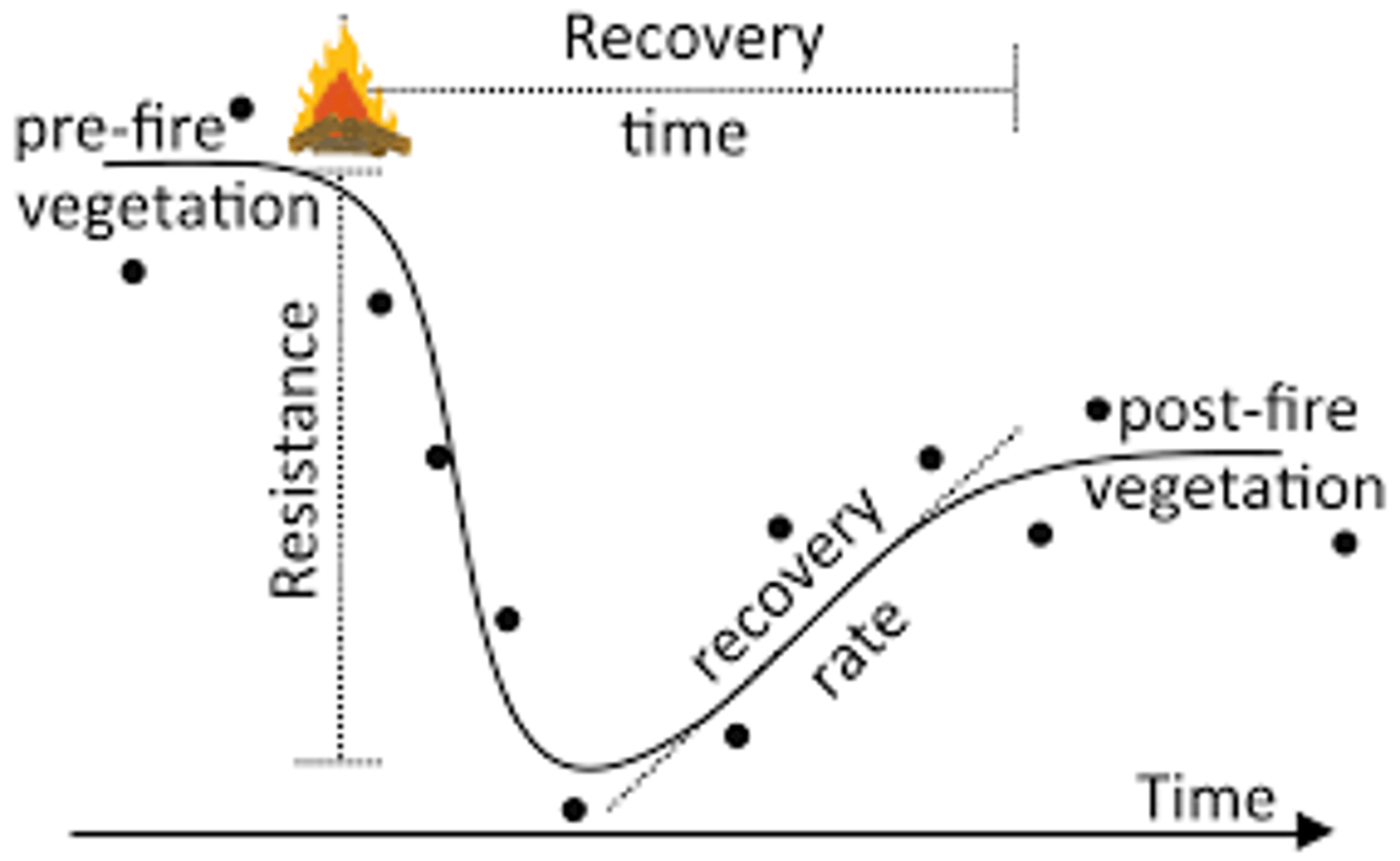 <p>In an ecosystem, a measure of how much disruption can affect the flows of energy and matter</p>