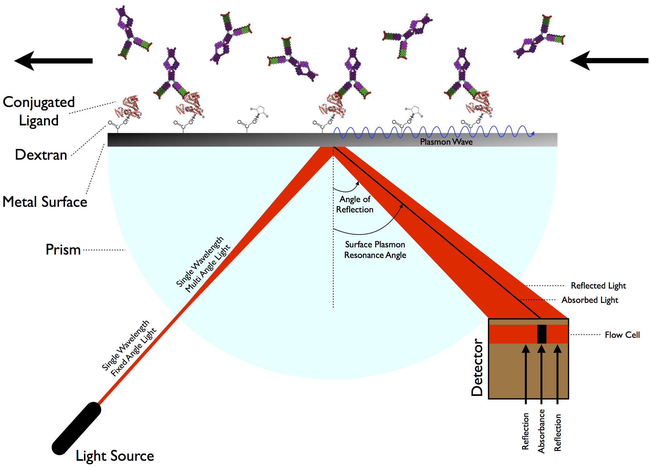 <p>Plasmonic sensors use surface plasmon resonance on metallic nanostructures to detect tiny changes in refractive index near the surface.</p>
