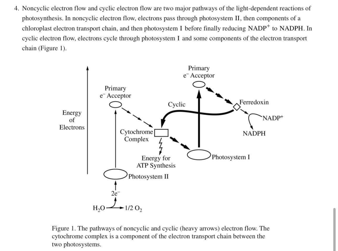 <p>b) Based on Figure 1, explain why an increase in the ratio of NADPH to NADP+ will cause an increase in the flow of electrons through the cyclic pathway.</p>