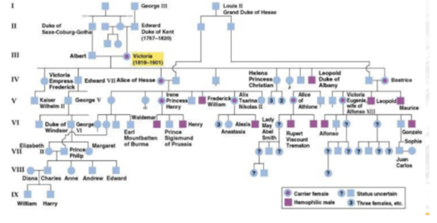 <p>Hemophilia</p>