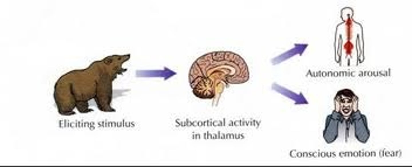 <p>states that an emotion-eliciting stimulus simultaneously triggers physiological arousal and the experience of emotion (parallel processes)</p>
