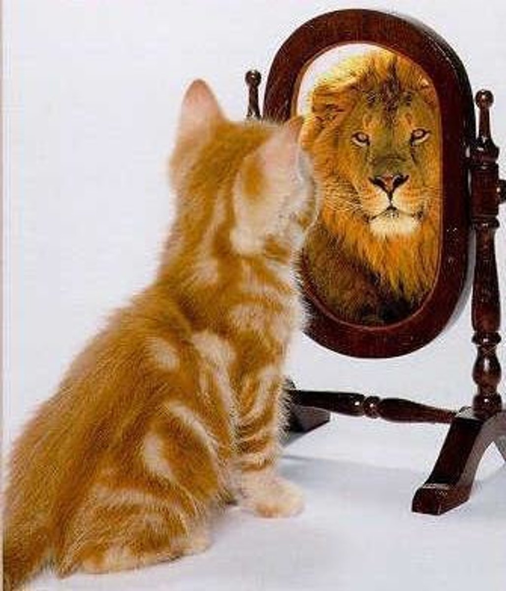 <p>phóng đại</p>