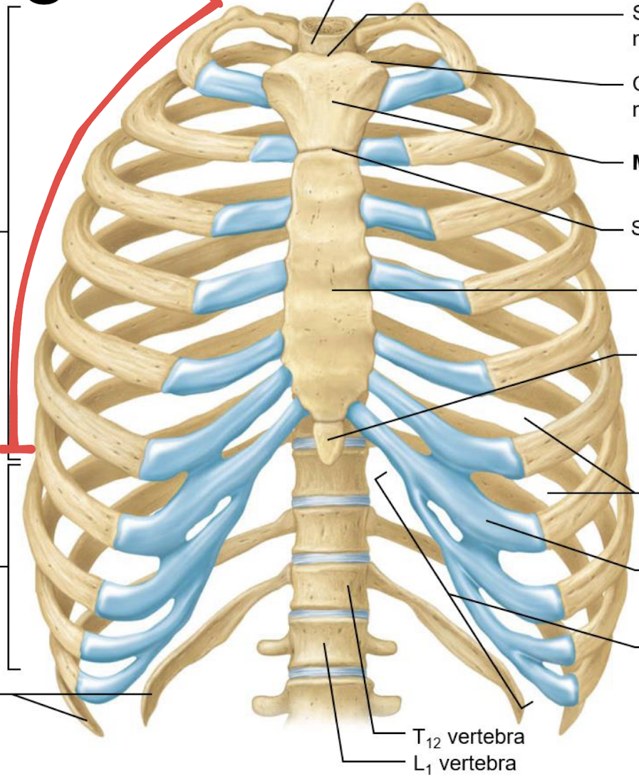 <p>what is this?</p>