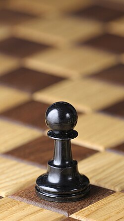 <p>Pawn</p>