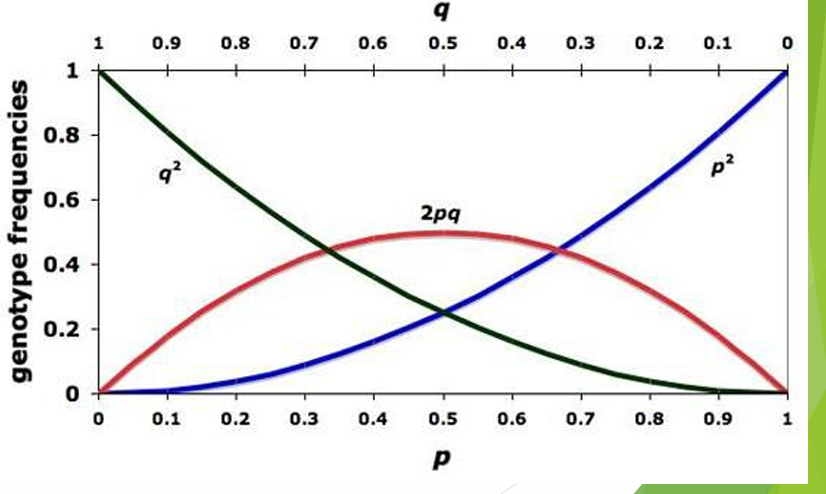 <p>Why do we use Hardy-Weinberg Equilibrium Principle?</p>