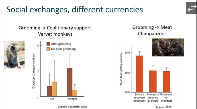 <p>Explain what is happening in these graphs</p>