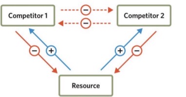<ul><li><p>Often interaction is exploitative where 2 species are eating the same thing. Maybe 1 species is a day time species and the other is a night time species. They exploiting the same food source but at different types so no direct interaction</p></li><li><p>(-,-) is indirect because they are eating each others food. Nothing they do to each other directly is negative (they aren’t fighting)</p></li><li><p><strong>Competitor → Resource (–)</strong></p><p>Each competitor uses up the resource.</p><ul><li><p>So,&nbsp;<strong>more Competitor 1</strong>&nbsp;→&nbsp;<strong>less Resource</strong>.</p></li><li><p><strong>More Competitor 2</strong>&nbsp;→&nbsp;<strong>less Resource</strong>.</p><p>(That’s why the arrows from Competitors to Resource have “–” signs.)</p></li></ul></li><li><p><strong>Resource → Competitor (+)</strong></p><p>The resource helps both competitors grow.</p><ul><li><p><strong>More Resource</strong>&nbsp;→&nbsp;<strong>more Competitor 1 and Competitor 2</strong>.</p><p>(That’s why arrows from Resource to Competitors have “+” signs.)</p></li></ul></li><li><p><strong>Indirect negative effects between competitors (–/–)</strong></p><p>Because both use the same resource, when one competitor increases, it reduces the resource and indirectly harms the other.</p><ul><li><p>More Competitor 1 → less Resource → less Competitor 2.</p></li><li><p>More Competitor 2 → less Resource → less Competitor 1.</p></li></ul></li></ul><p></p>