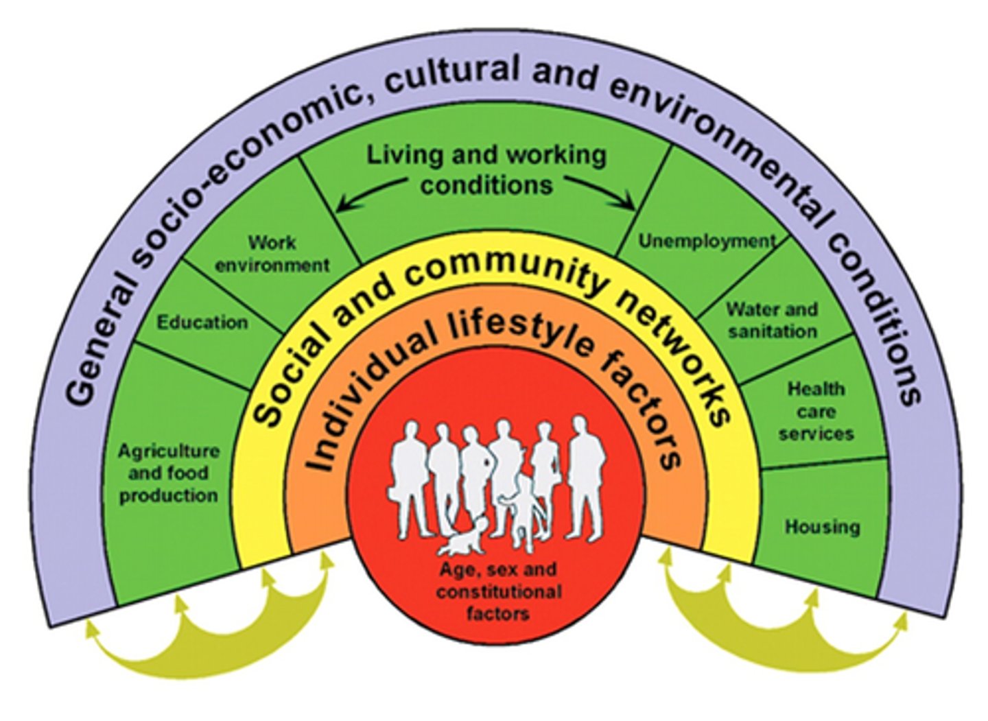 <p>Dahlgren &amp; Whitehead Model</p><p>1. Age, sex, and constituional factors</p><p>2. Individual lifestyle choices</p><p>- health behaviours, possibly family influenced</p><p>3. Social and community networks</p><p>- social supports, culture, and freedom of expression</p><p>4. Living and work conditions</p><p>- environments, water, food, sanitation</p><p>5. General socio-economic, cultural, environ conditions</p><p>- directly/indirectly influences health, climate change, general poverty level, etc.</p>