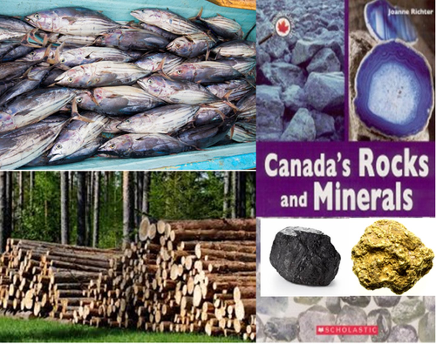 <p>any natural resource or substance that is used to make finished products.</p>