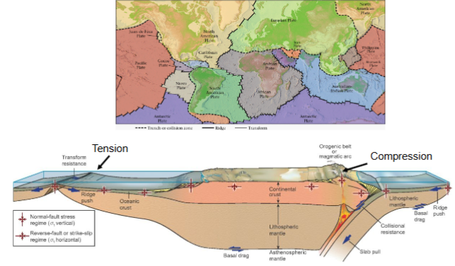 <p>The source of stress for deformation of rocks is due to plate movements/interactions</p>