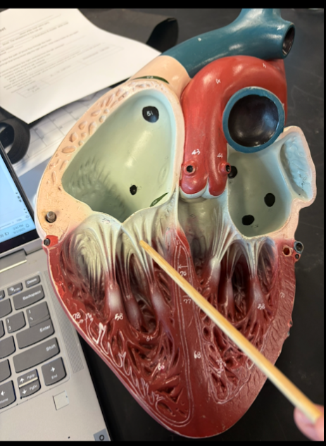 <p>What is this?</p>