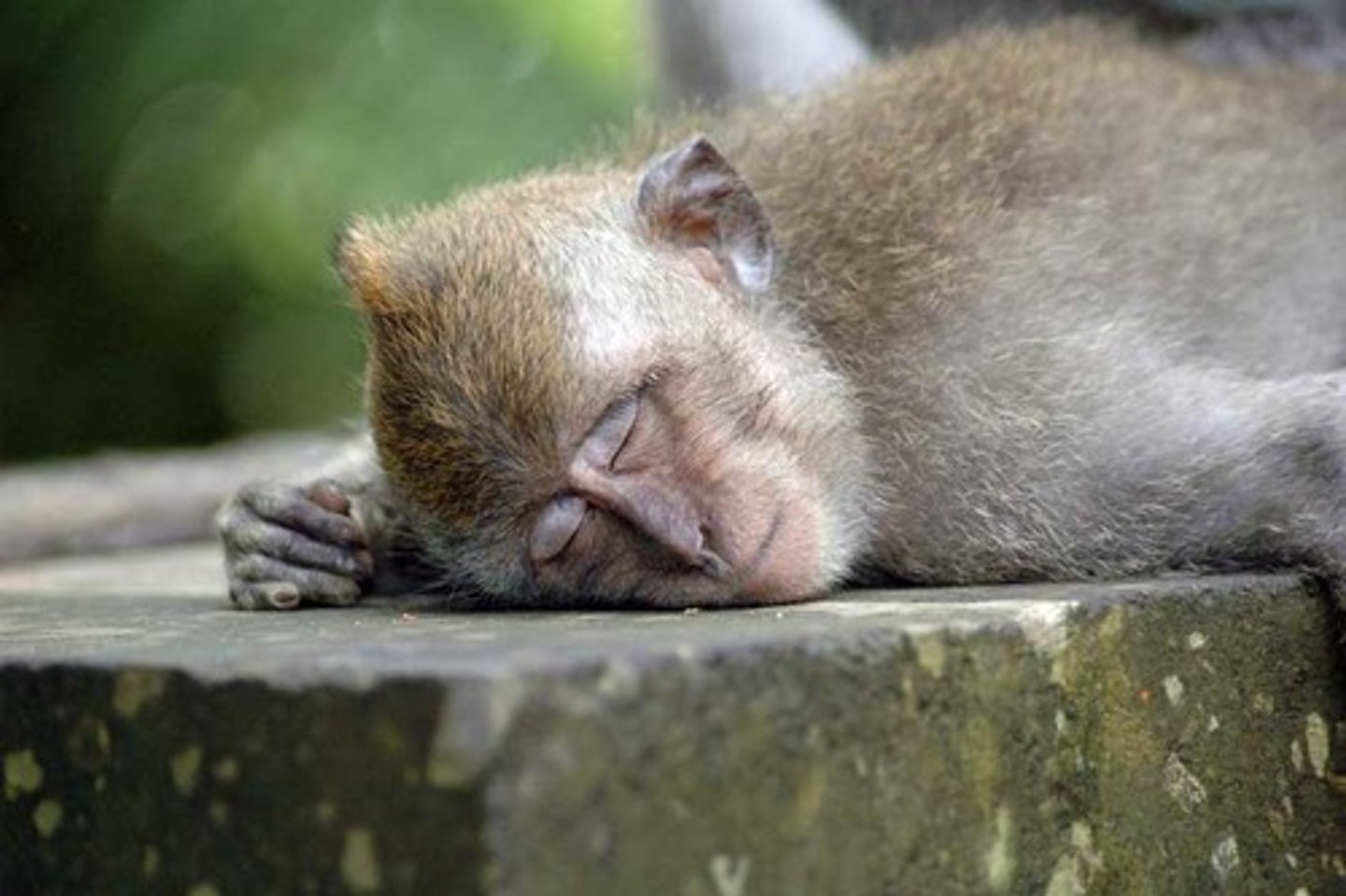 <p>tired</p>