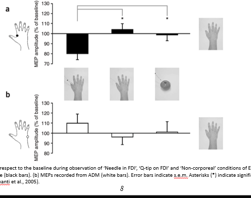 <p><span>Avenanti et al (2005) exp1</span></p>
