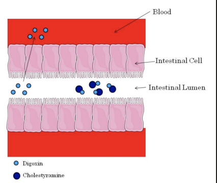 <p><strong>Absorption - Chelation/Binding</strong></p>