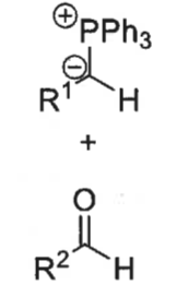 <p>what are the cis and trans betane formation transition states?</p><p>which is more stable and why?</p>