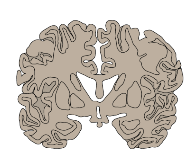 <p>what view is this section?</p>