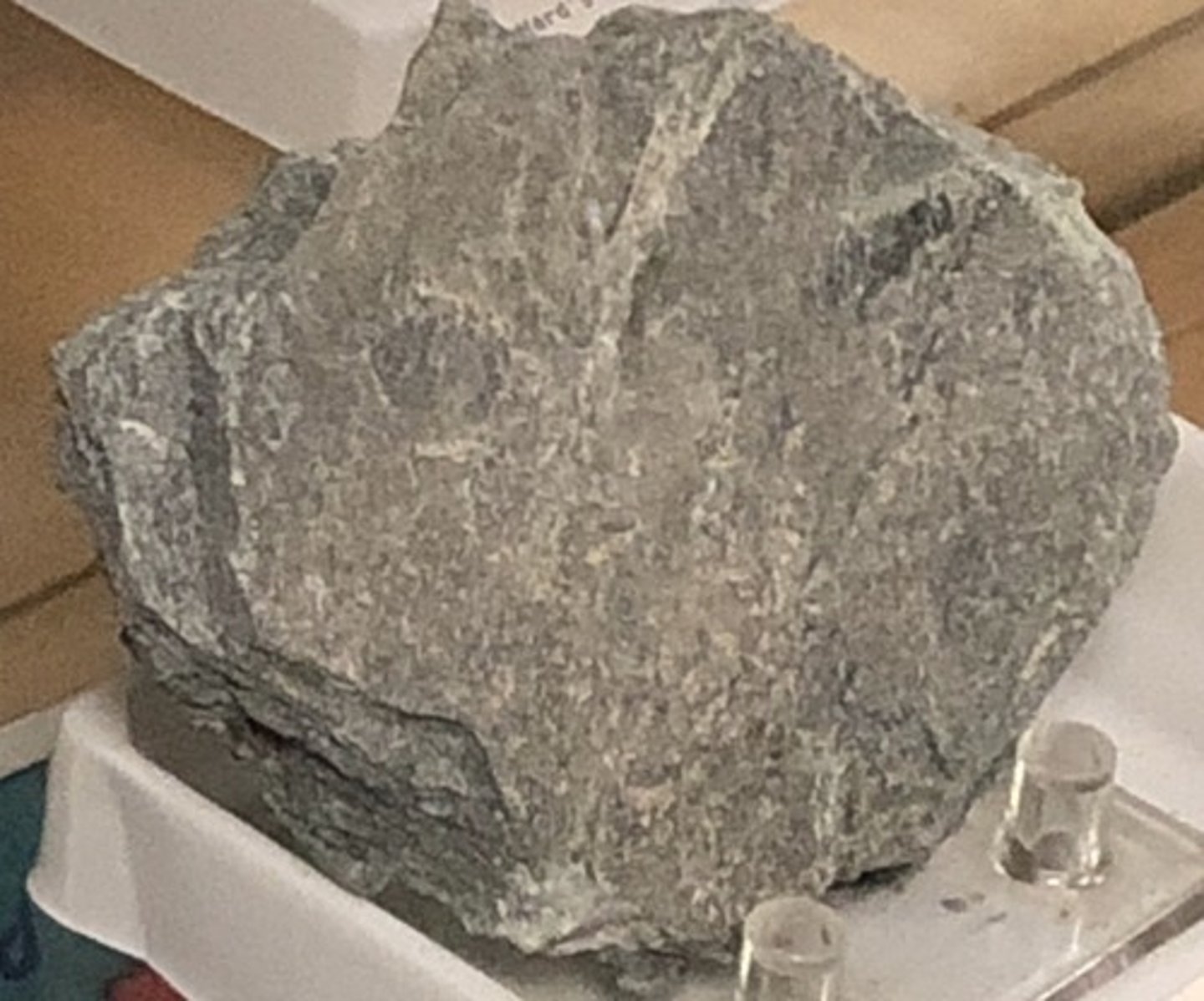 <p>Phyllite</p>