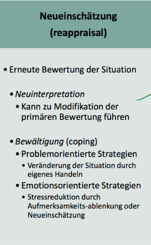 <p>entweder direkte Neuinterpretation ODER STRESSBEWÄLTIGUNG was wiederum nach der Bewältigung zu einer Neueinschätzung/Neuinterpretation des Reizes führt</p><p>→ primäre Einschätzung wird durch die ‚outcomes‘ ergänzt = „reappraisal“</p>