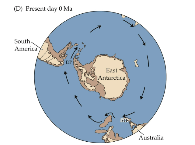 <p><span style="color: rgb(255, 255, 255);">The separation of Australia and South America from Antarctica established the cold Antarctic Circumpolar Current as</span><span style="color: rgb(255, 255, 255);"><br></span><span style="color: rgb(255, 255, 255);">deep water flowed through the Drake Passage (DP) between Antarctica and South America and over South Tasman</span><span style="color: rgb(255, 255, 255);"><br></span><span style="color: rgb(255, 255, 255);">Rise (STR) between Australia and Antarctica. Subsequently, reduced mixing of cold Antarctic waters with those of</span><span style="color: rgb(255, 255, 255);"><br></span><span style="color: rgb(255, 255, 255);">warmer regions resulted in the onset of global cooling.</span><span style="color: rgb(255, 255, 255);"><br></span></p>
