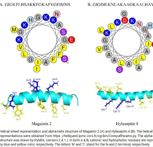 <p>these are an example of </p>