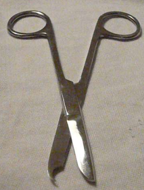 <p>Used to remove sutures. Blade has beak or hook to slide under sutures</p>