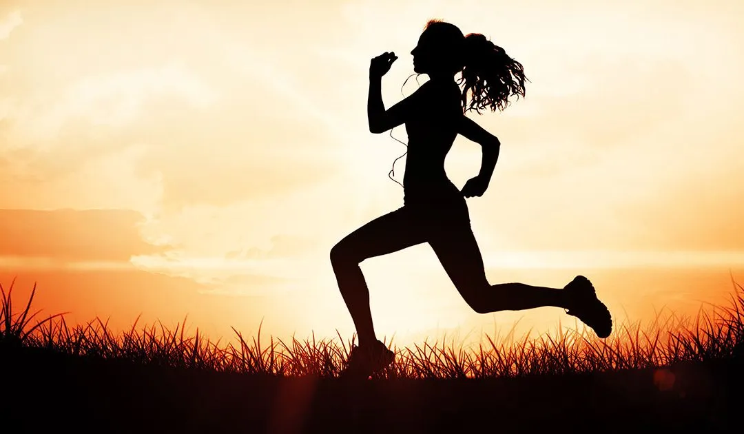 <p>Exercise - A type of physical activity that requires planned, structured, and repetitive bodily movement done to improve or maintain one or more components of physical fitness.</p>