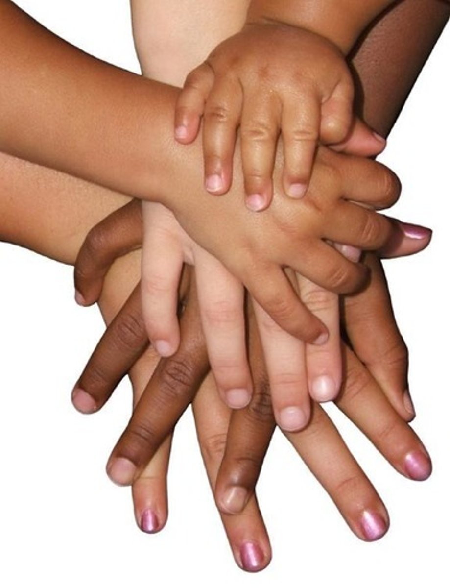 <p>a dark brown to black pigment occurring in the hair, skin, and iris of the eye in people and animals. It is responsible for tanning of skin exposed to sunlight.</p>