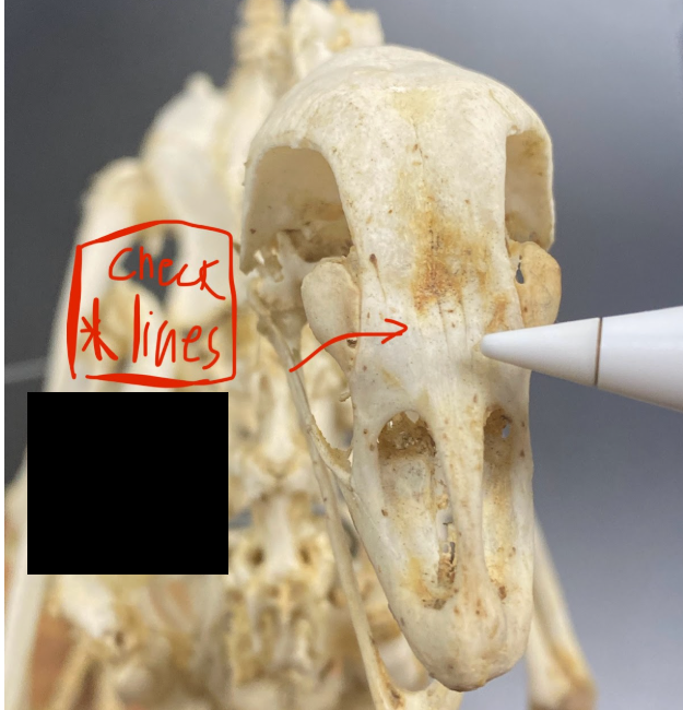 <p>What part is this </p>