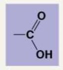 <ul><li><p><strong>Carboxyl:</strong> COOH. They are organic acids, and the hydrogen can ionize, leaving behind an oxygen with a negative charge. </p></li></ul><p></p>