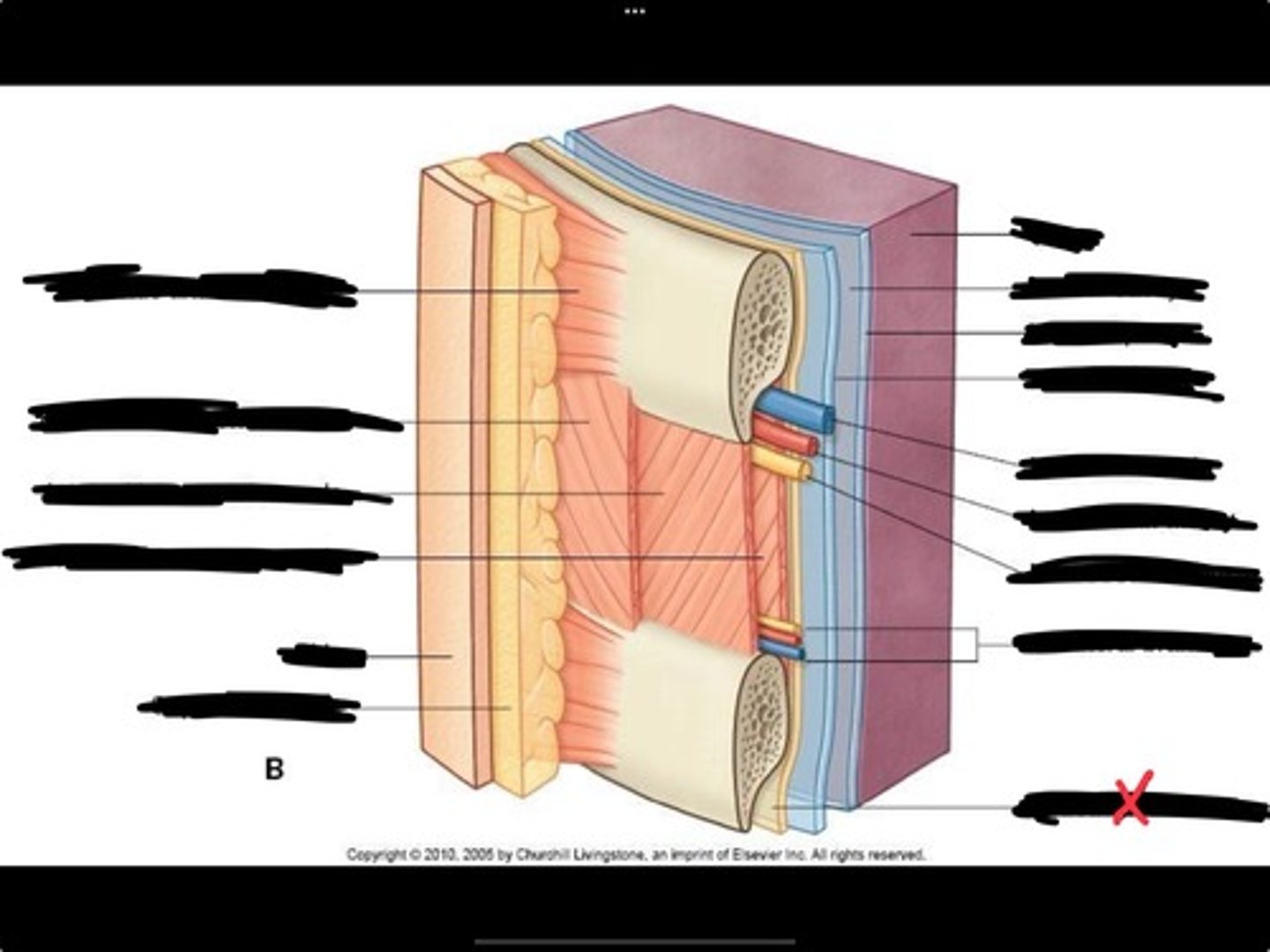 knowt flashcard image