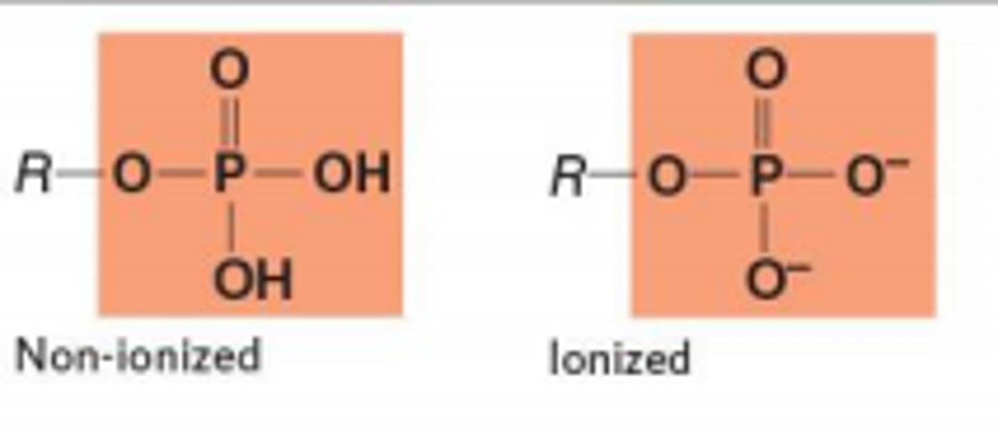 <p>Compound Name: Organic Phosphate</p><p>Polar/ Non: Polar</p><p>Hydrophilic: Yes</p><p>Acid or Base: Acid</p><p>Example: Glycerol Phosphate</p>