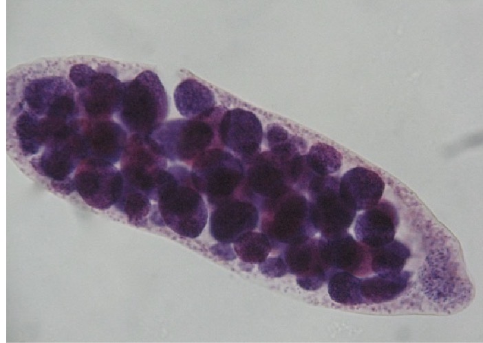 <p>What is this, what does it do</p>