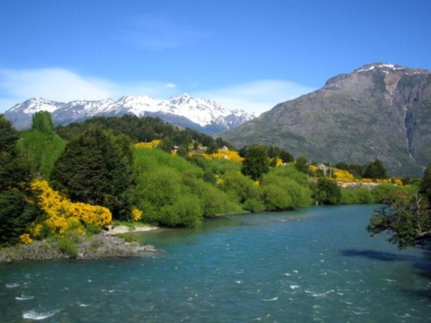 <p>la naturaleza</p>