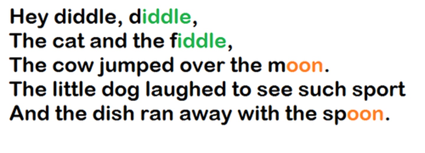 <p>words that rhyme at the ends of lines of poetry (can be further separated into male and female rhymes)</p>