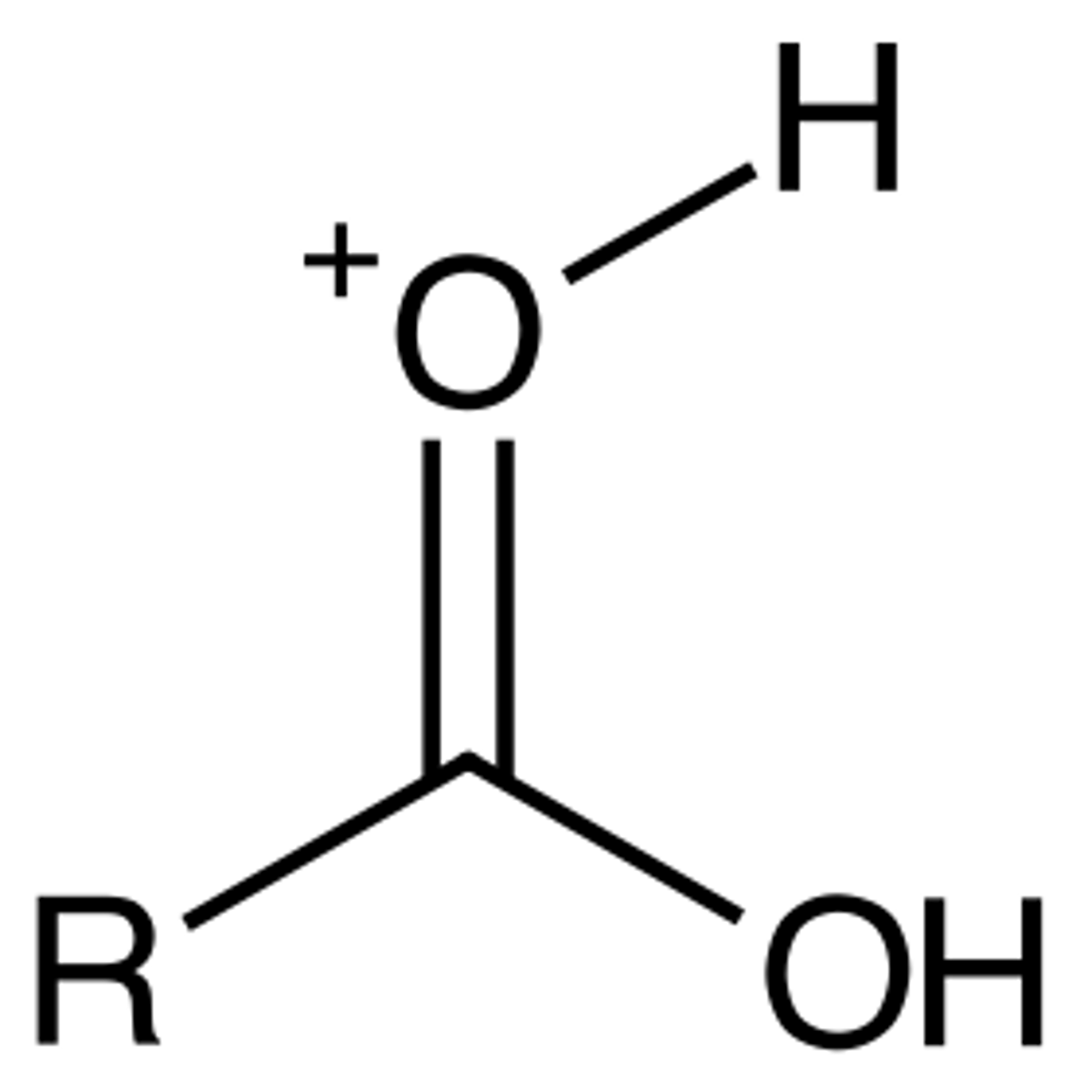 <p>protonated carbonyl</p>