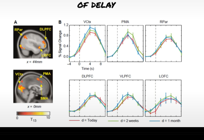 <p><strong>McClure et al (2004)</strong></p><p>data tells us what?</p>
