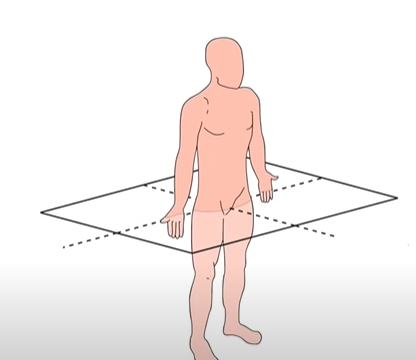 <p>Gulsčioji plokštuma</p>