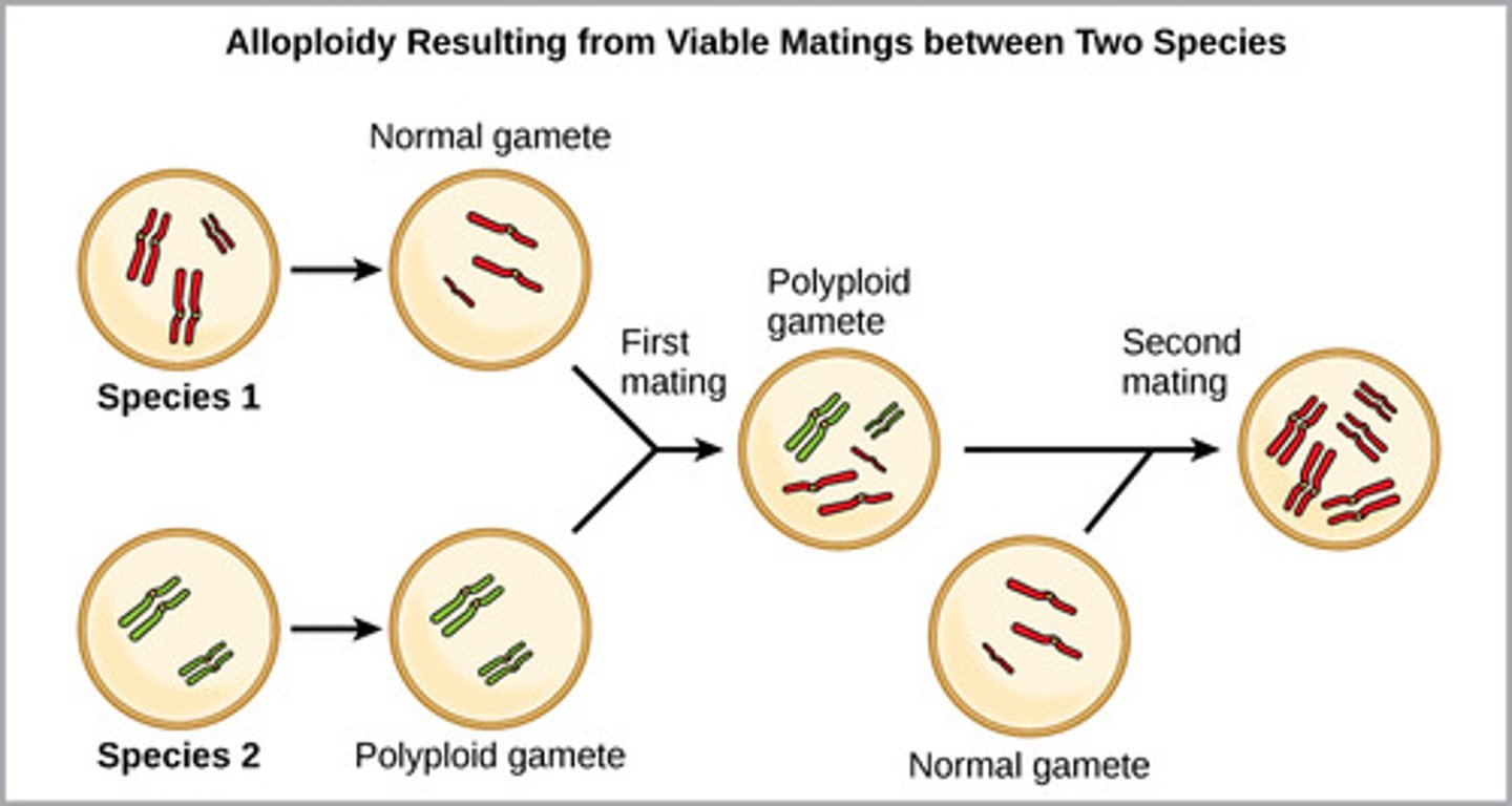 <p>alloploidy</p>