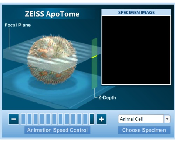 <p><span>Laser scanning confocal microscopy is capable of producing the highest out-of-focus discrimination of all routine optical sectioning techniques.</span></p><p style="text-align: justify"></p><p style="text-align: justify"><span>Commonly operated in association with a fluorescence microscope.</span></p>