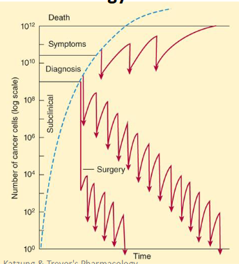 <p>each does kills a fraction of cells</p>