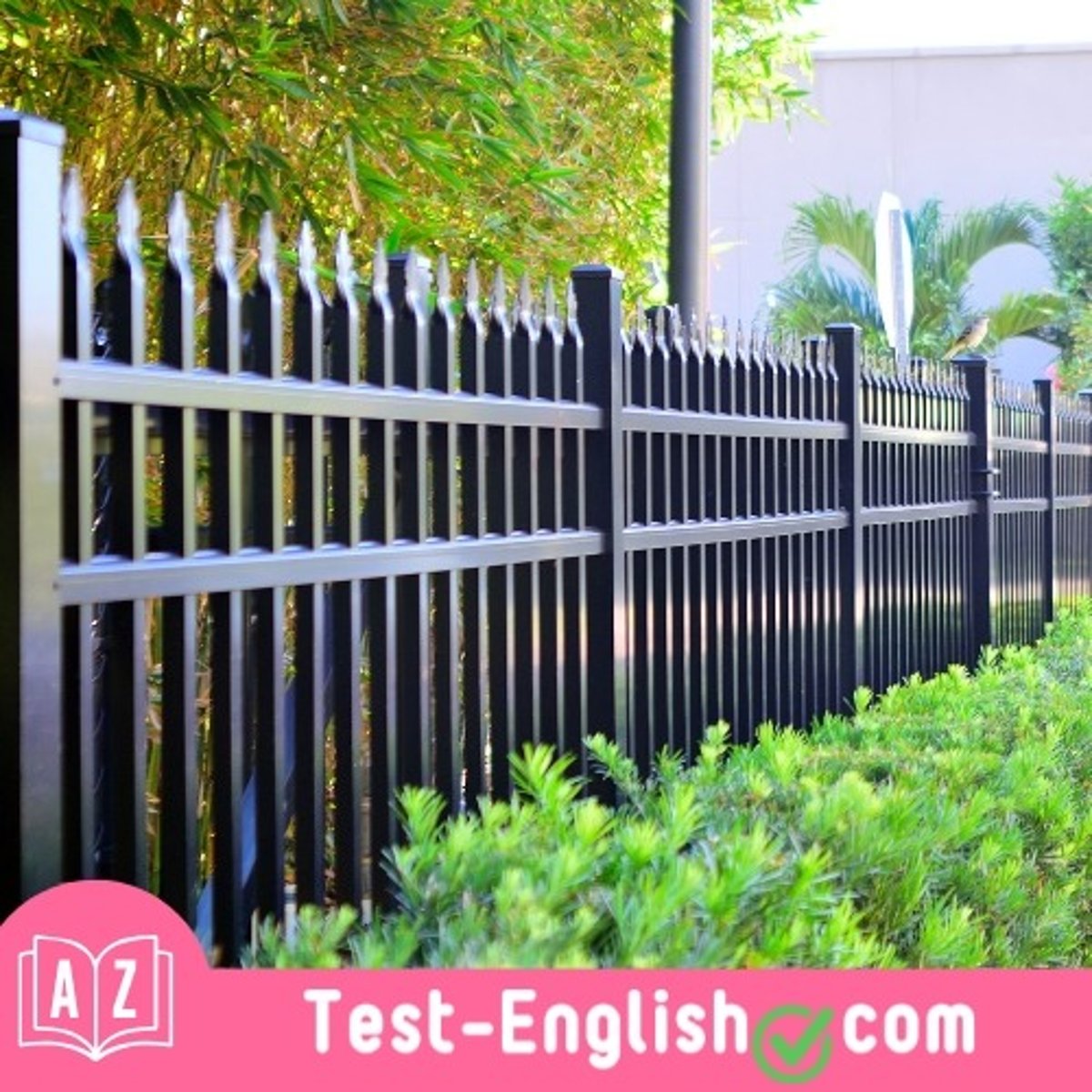 <p>I couldn't see into the garden because of the high _____.</p>