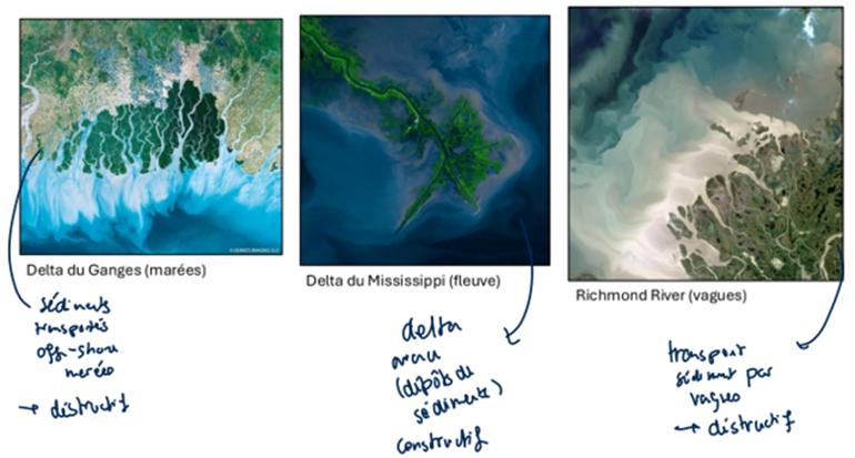 <p>Morphologie deltas dépend des processus sédimentaires dominant</p><p class="MsoListParagraphCxSpFirst"><span><span>-</span></span><span style="font-family: "Times New Roman"; line-height: normal; font-size: 7pt;"><span>&nbsp;&nbsp;&nbsp;&nbsp;&nbsp;&nbsp;&nbsp;&nbsp;&nbsp; </span></span>dynamique fluviale <span><span>à</span></span> très forte sédimentation</p><p class="MsoListParagraphCxSpMiddle"><span><span>-</span></span><span style="font-family: "Times New Roman"; line-height: normal; font-size: 7pt;"><span>&nbsp;&nbsp;&nbsp;&nbsp;&nbsp;&nbsp;&nbsp;&nbsp;&nbsp; </span></span>Effets de vagues et de la houle <span><span>à</span></span> <span><span>&nbsp;</span></span>transport de sédiment le long de la côte</p><p class="MsoListParagraphCxSpLast"><span><span>-</span></span><span style="font-family: "Times New Roman"; line-height: normal; font-size: 7pt;"><span>&nbsp;&nbsp;&nbsp;&nbsp;&nbsp;&nbsp;&nbsp;&nbsp;&nbsp; </span></span>Effet de marée <span><span>à</span></span> tidal flats et barres sableuses rectilignes (ex. Gange)</p><p class="MsoListParagraphCxSpLast">Deltas constructifs deviennent déstructifs (morphologie des deltas change au cours du temps)</p>