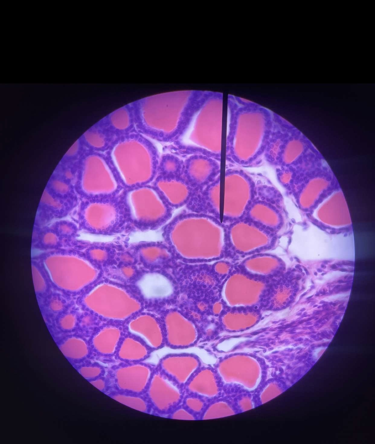 <p>What is this?</p>