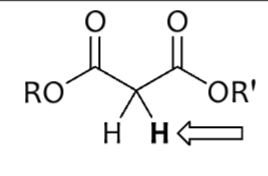 <p>Malonate Ester</p>