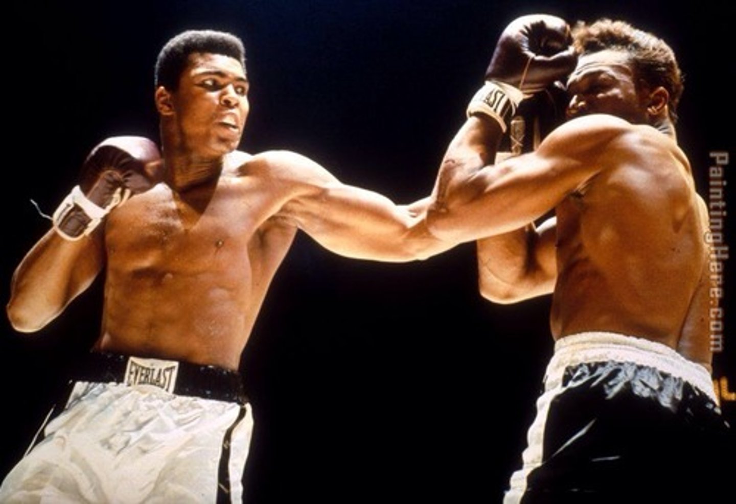 <p>fights</p>