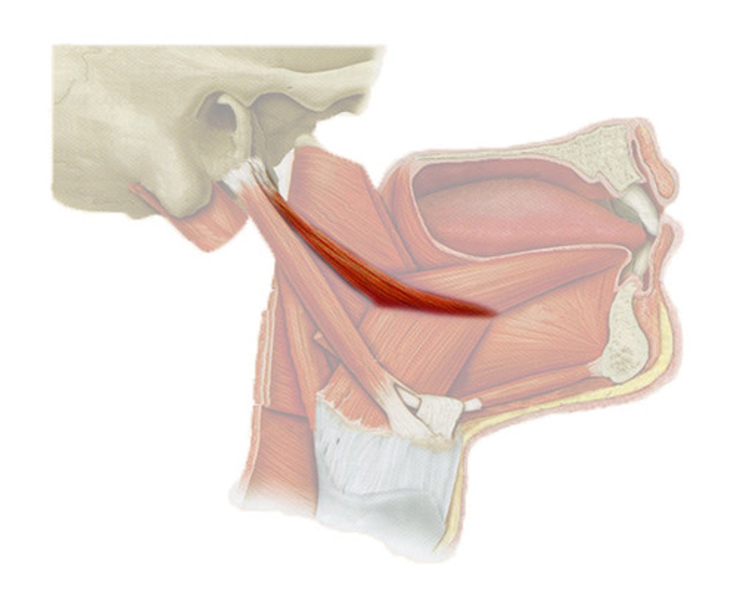 <p><em>identify the structure:</em></p>