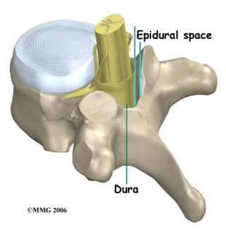 <ul><li><p class=""><strong>Properties</strong>:</p><ul><li><p class="">Longer duration of action than other local anaesthetics</p></li><li><p class="">Slow onset (~30 min)</p></li></ul></li><li><p class=""><strong>Uses</strong>:</p><ul><li><p class="">Principal drug for spinal anaesthesia</p></li><li><p class="">Suitable for continuous epidural analgesia in labour</p></li></ul></li><li><p class=""><strong>Side effects</strong>:</p><ul><li><p class="">Similar to lidocaine (e.g. confusion, respiratory depression, convulsions, hypotension, bradycardia)</p></li></ul></li></ul><p></p>