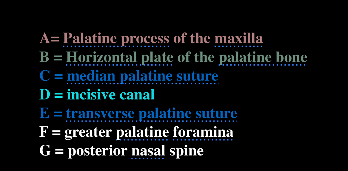 knowt flashcard image