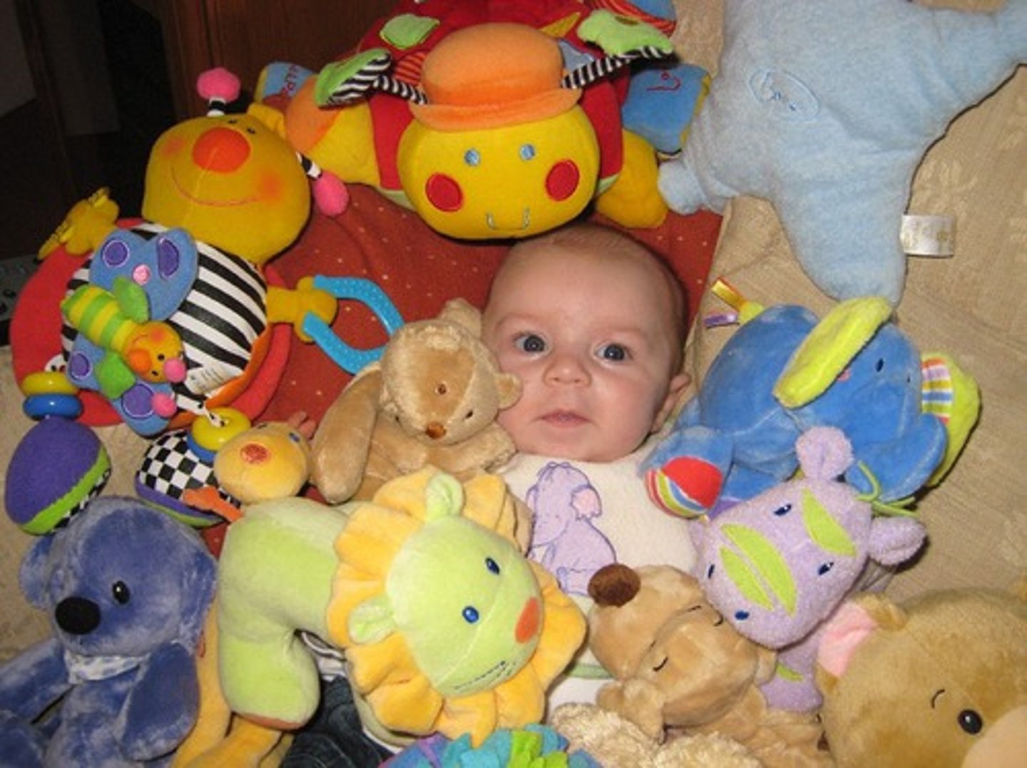 <p>Overprotect or treat with great care like an invalid (pamper, spoil, indulge)</p>