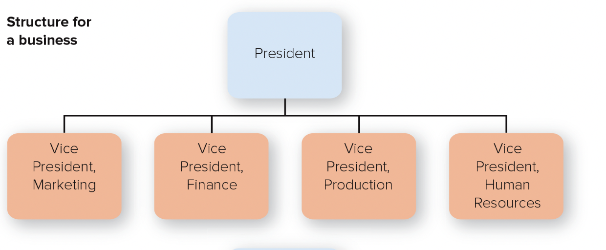 <p>people with similar occupational specialties are put together in formal groups</p>